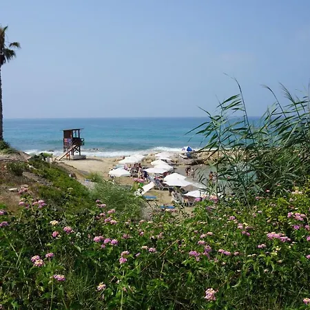 公寓 Limnaria Gardens Paphos, Near Paphos